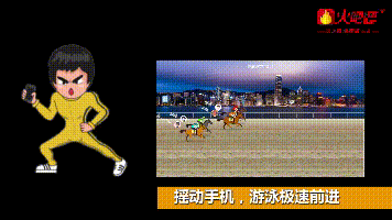 3D賽馬.gif
